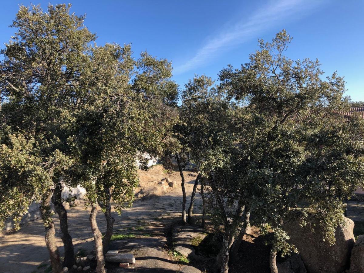Finca El Olivo Ituero y Lama Bagian luar foto